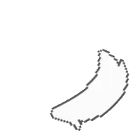 Tail Rotation 1